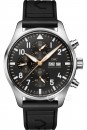 IWC万国表IW388116