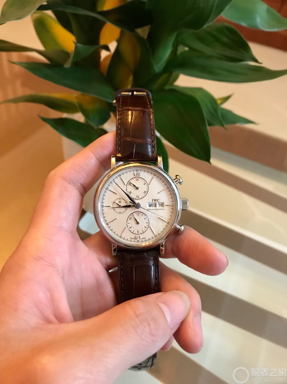 IWC万国表柏涛菲诺系列IW391027