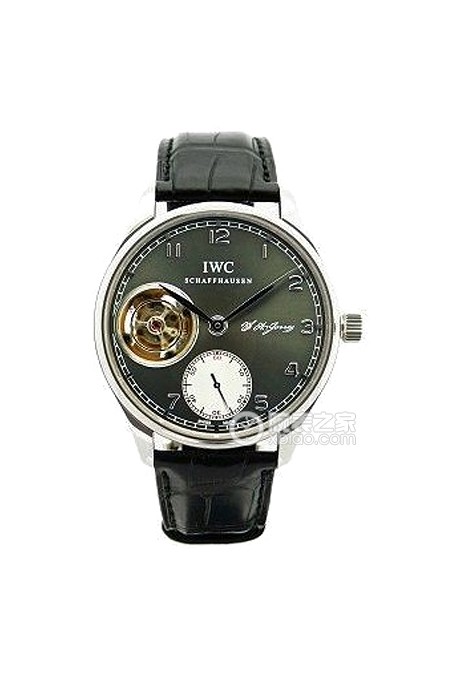 IWC万国表IW544703