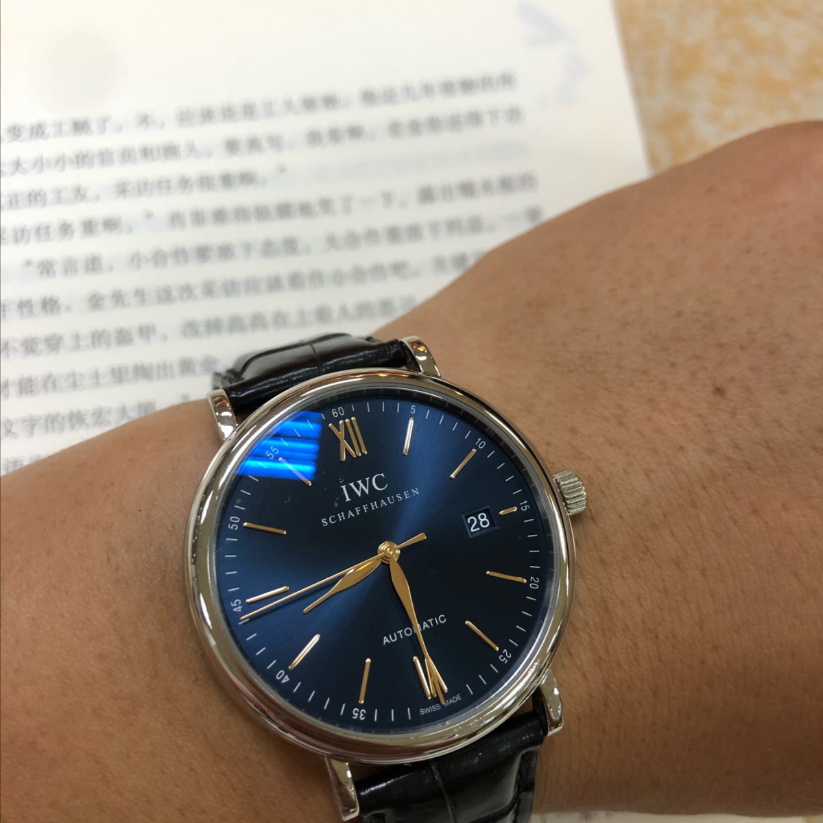 IWC万国表柏涛菲诺系列IW356523