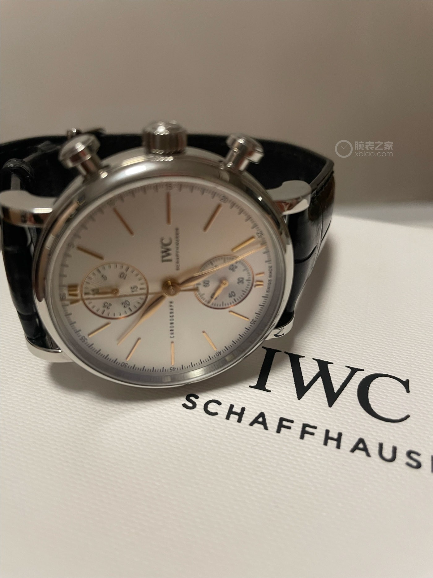 IWC万国表柏涛菲诺系列IW391406