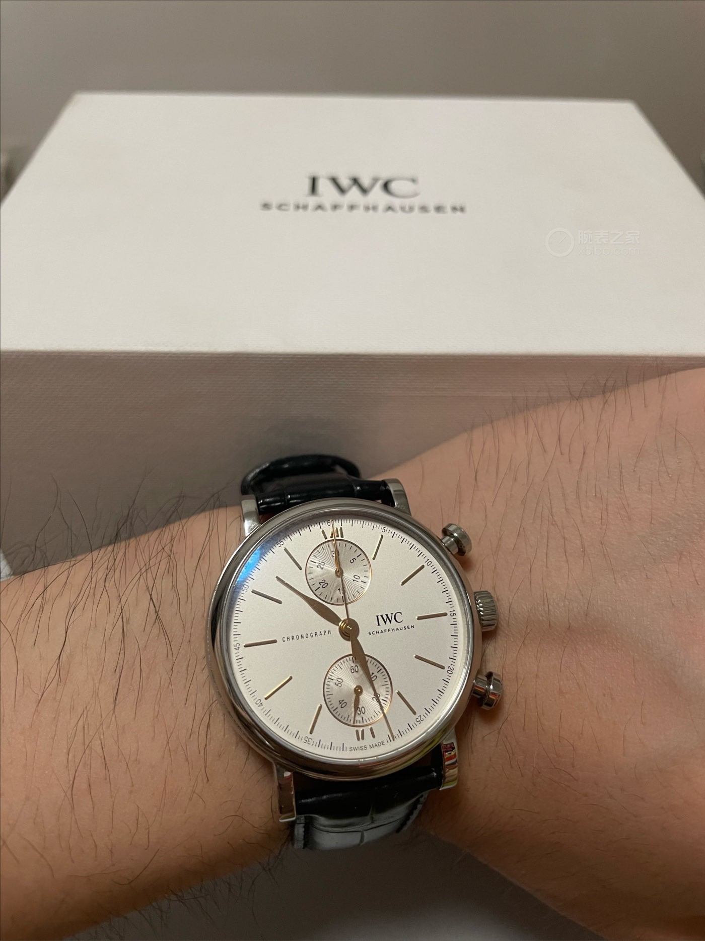 IWC万国表柏涛菲诺系列IW391406