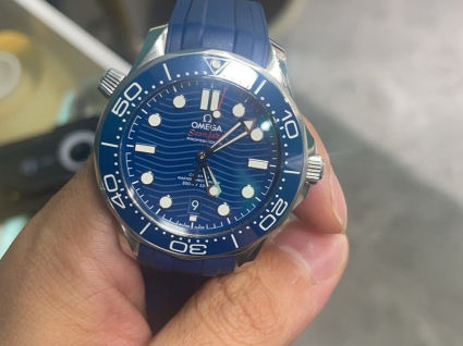 欧米茄海马系列210.32.42.20.03.001