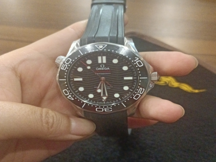 欧米茄海马系列210.32.42.20.01.001