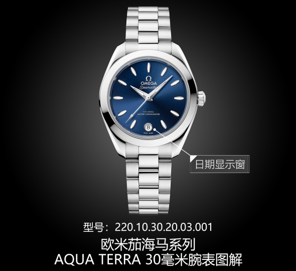 欧米茄海马系列220.10.30.20.03.001图解