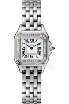 卡地亚PANTHÈRE DE CARTIER W4PN0016