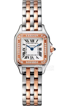 卡地亚PANTHÈRE DE CARTIER W3PN0009