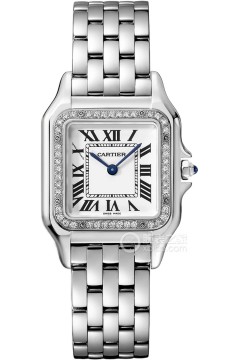 卡地亚PANTHÈRE DE CARTIER W4PN0018