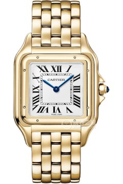 卡地亚PANTHÈRE DE CARTIER WGPN0051