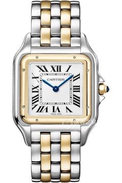 卡地亚PANTHÈRE DE CARTIER W2PN0016