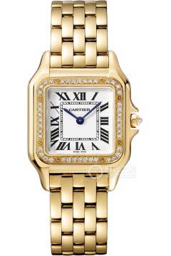 卡地亚PANTHÈRE DE CARTIER WJPN0066