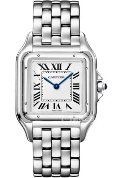 卡地亚PANTHÈRE DE CARTIER WSPN0016