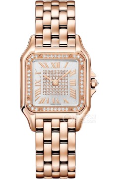 卡地亚PANTHÈRE DE CARTIER WJPN0078