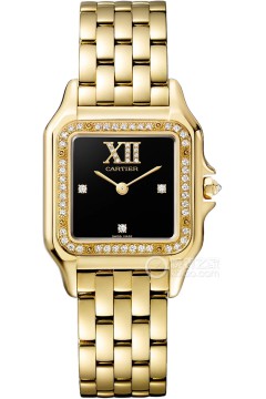 卡地亚PANTHÈRE DE CARTIER WJPN0074