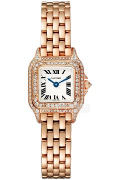卡地亚PANTHÈRE DE CARTIER WJPN0068
