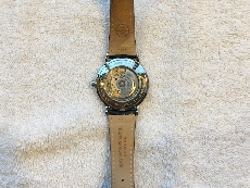 蕾蒙威男装腕表系列2839-STC-00659
