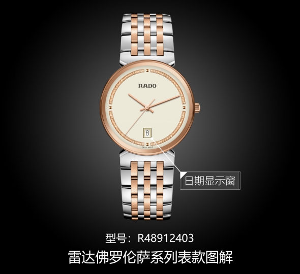 雷达佛罗伦萨系列R48912403图解