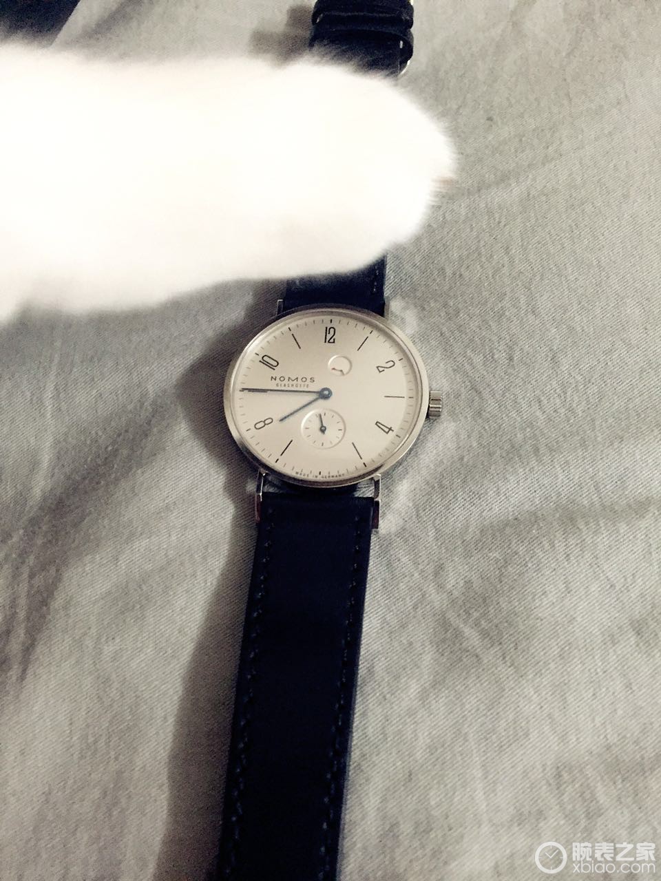 NOMOS TANGENTE系列172