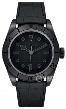 帝舵碧湾系列2019 Only Watch碧湾41自动