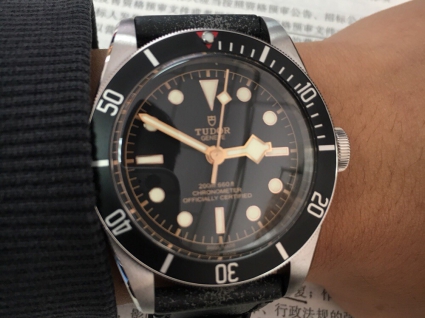 帝舵碧灣系列m79230n-0002