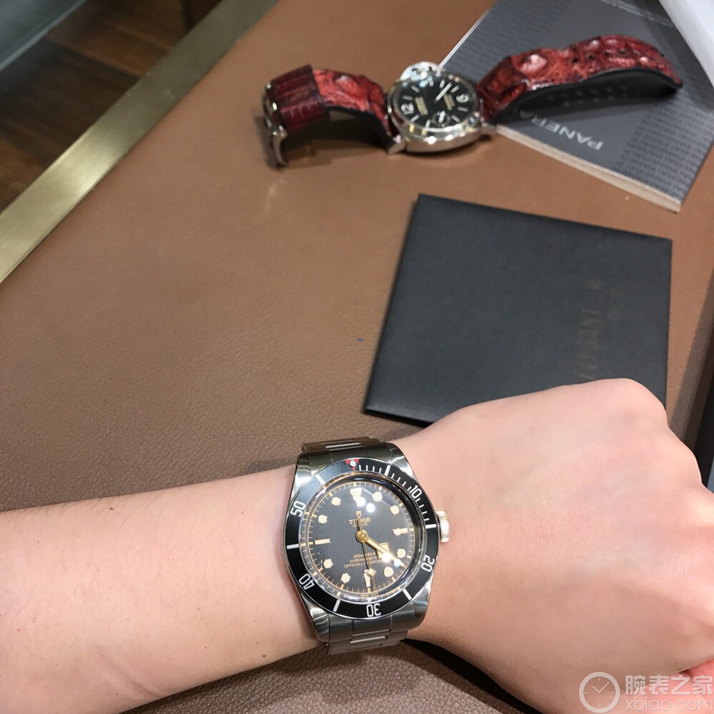 帝舵碧灣系列m79230n-0002
