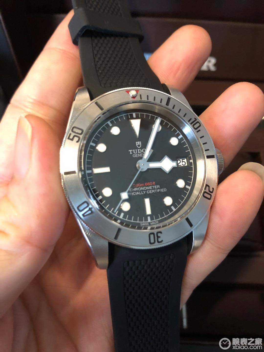 帝舵碧灣系列M79730-0006
