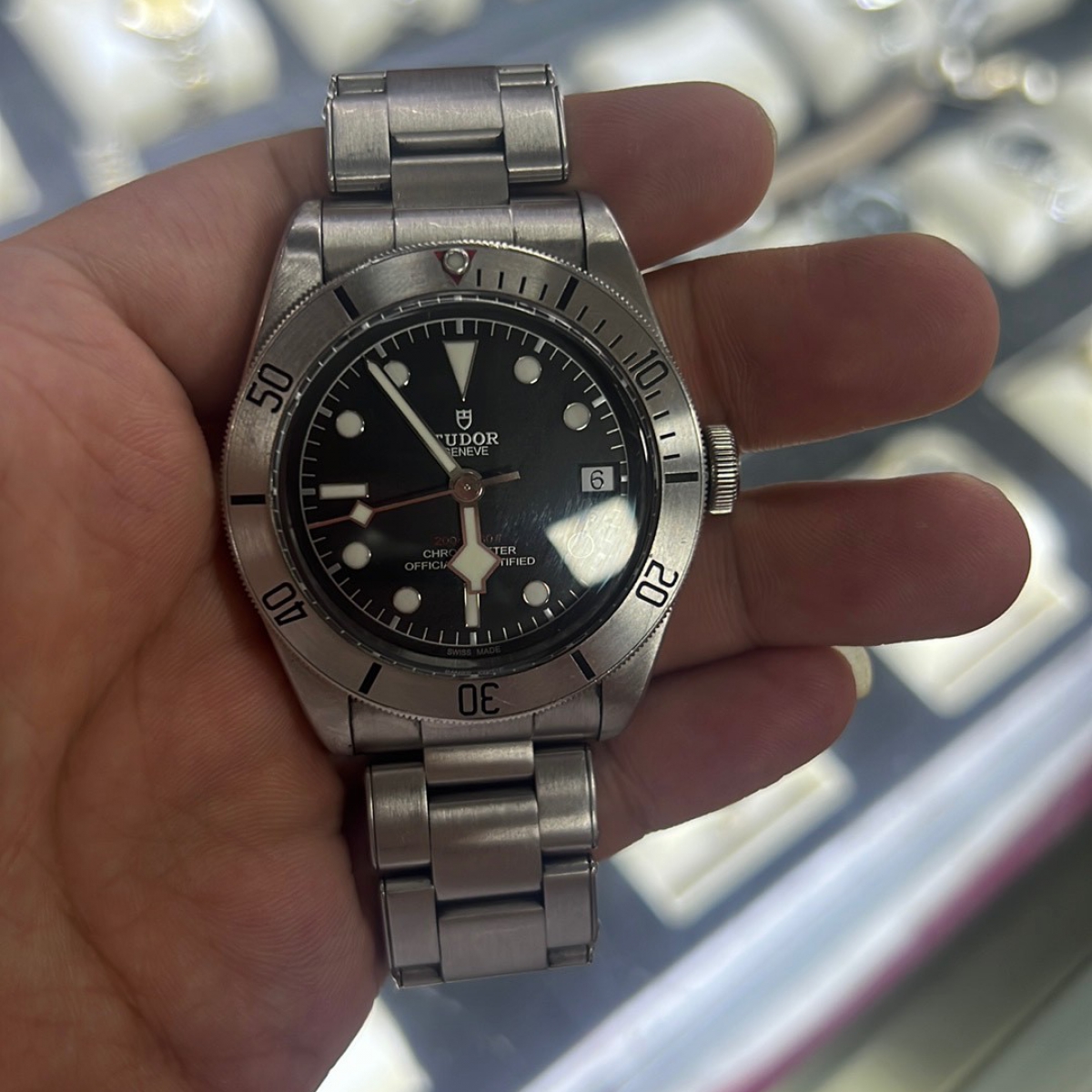 帝舵碧灣系列M79730-0006