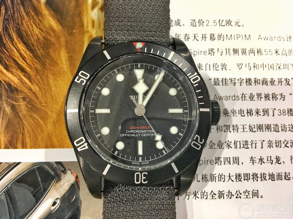 帝舵碧湾系列M79230DK-0008