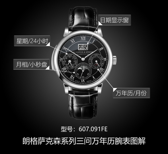 朗格萨克森系列607.091FE图解