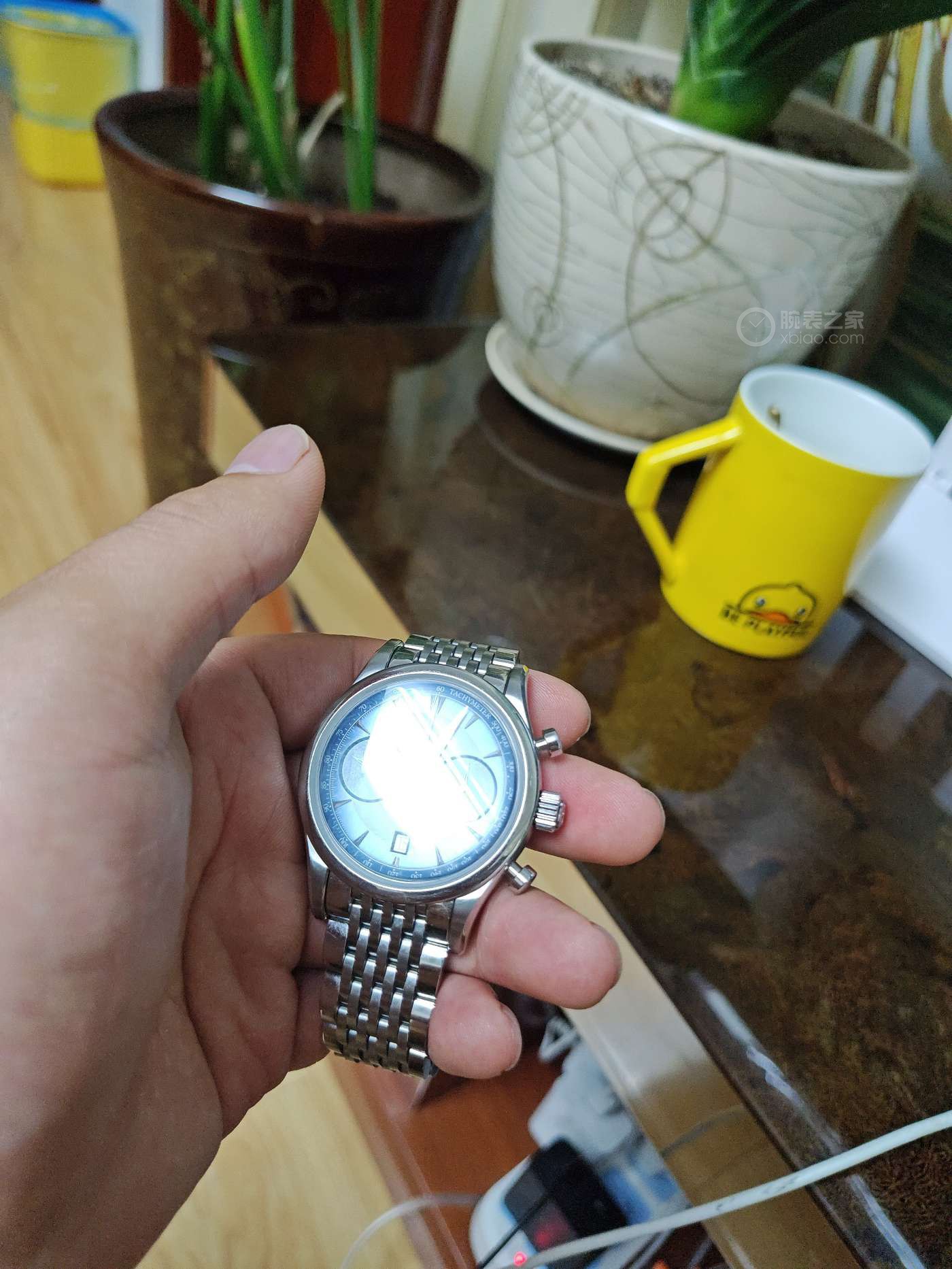 寶齊萊馬利龍系列00.10919.08.53.21