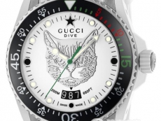 古驰GUCCI DIVE系列YA136329