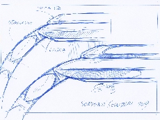 宝格丽SERPENTI系列103145