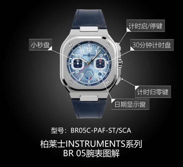 柏莱士INSTRUMENTS系列BR05C-PAF-ST/SCA图解