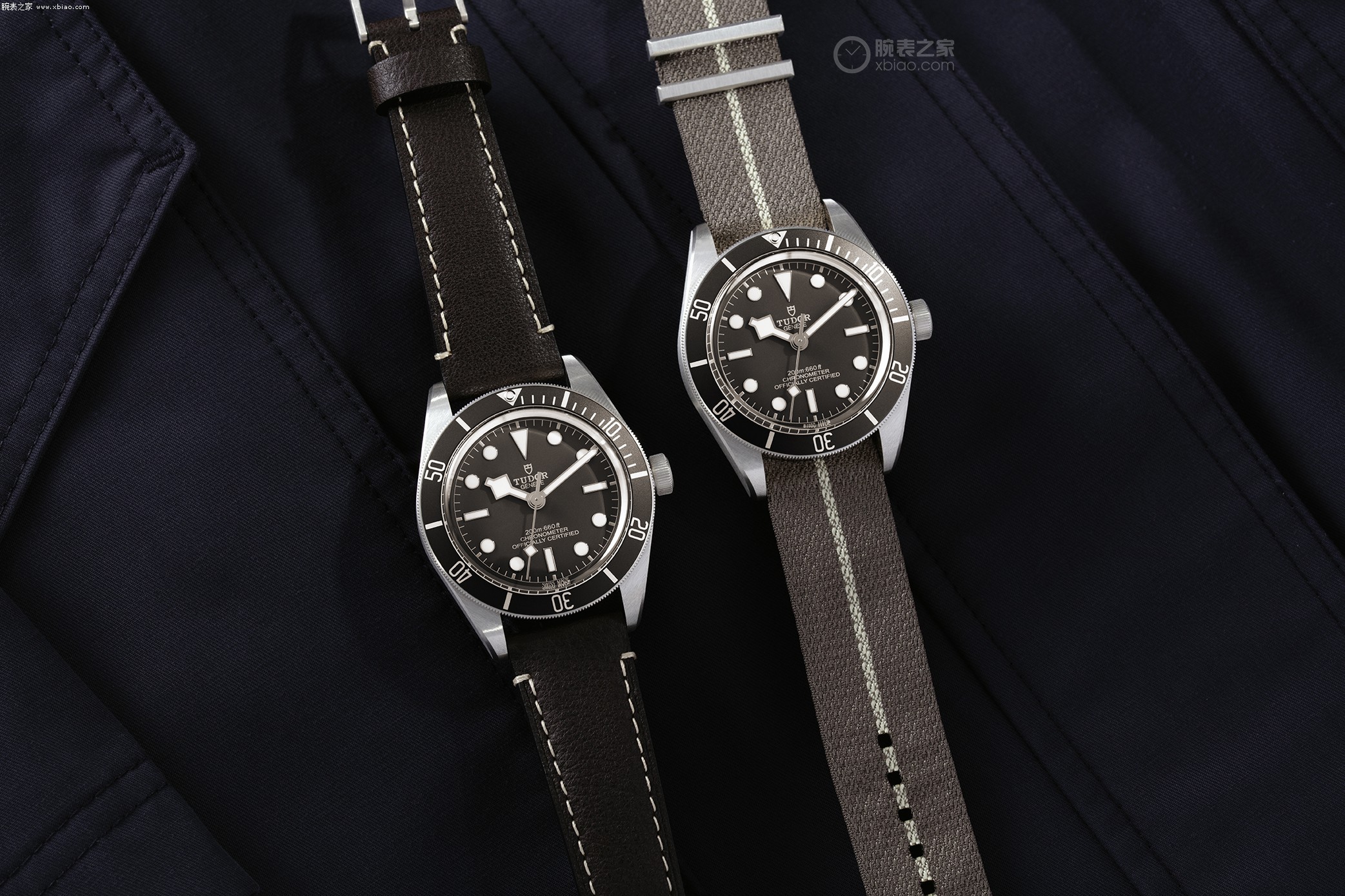 帝舵新品