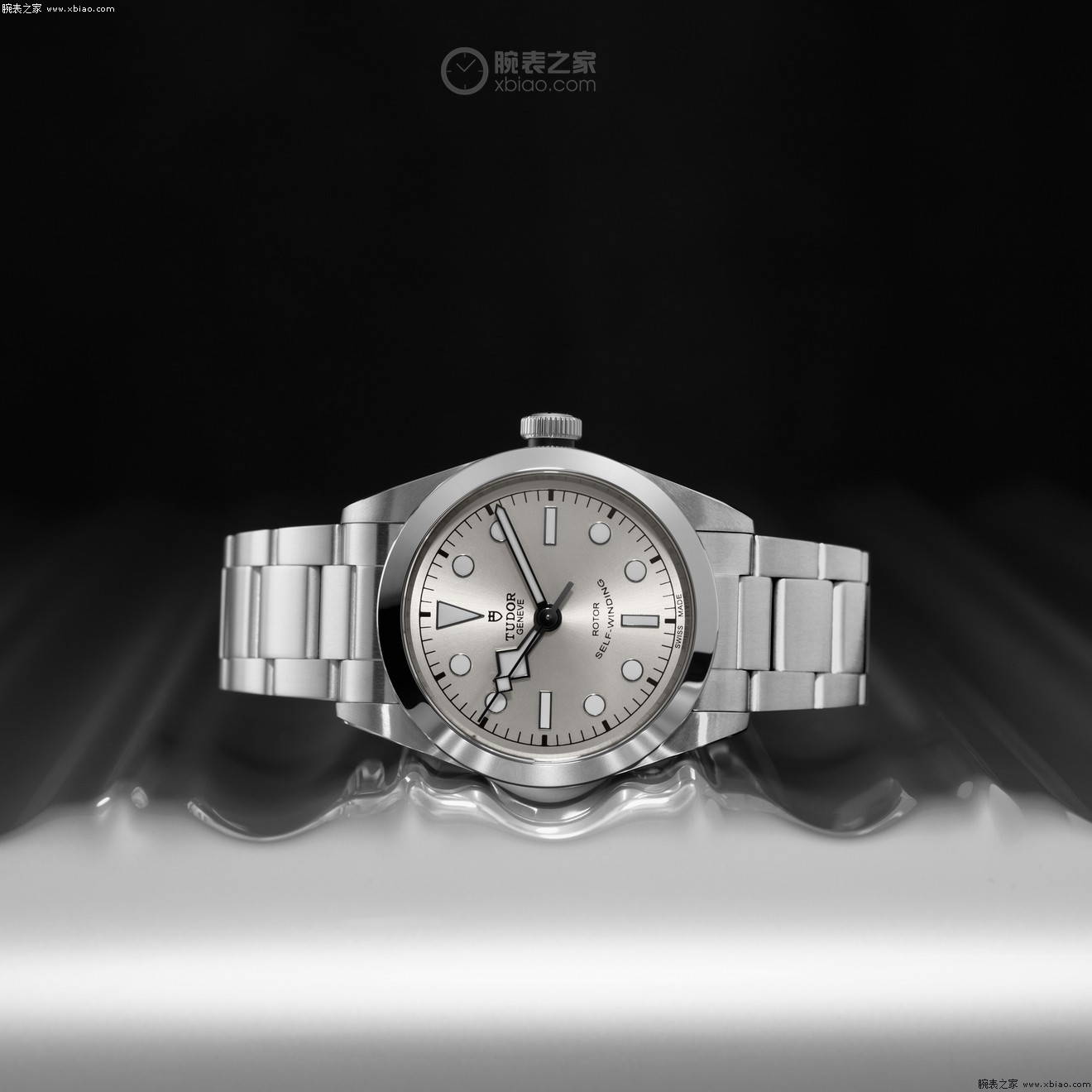 帝舵新品