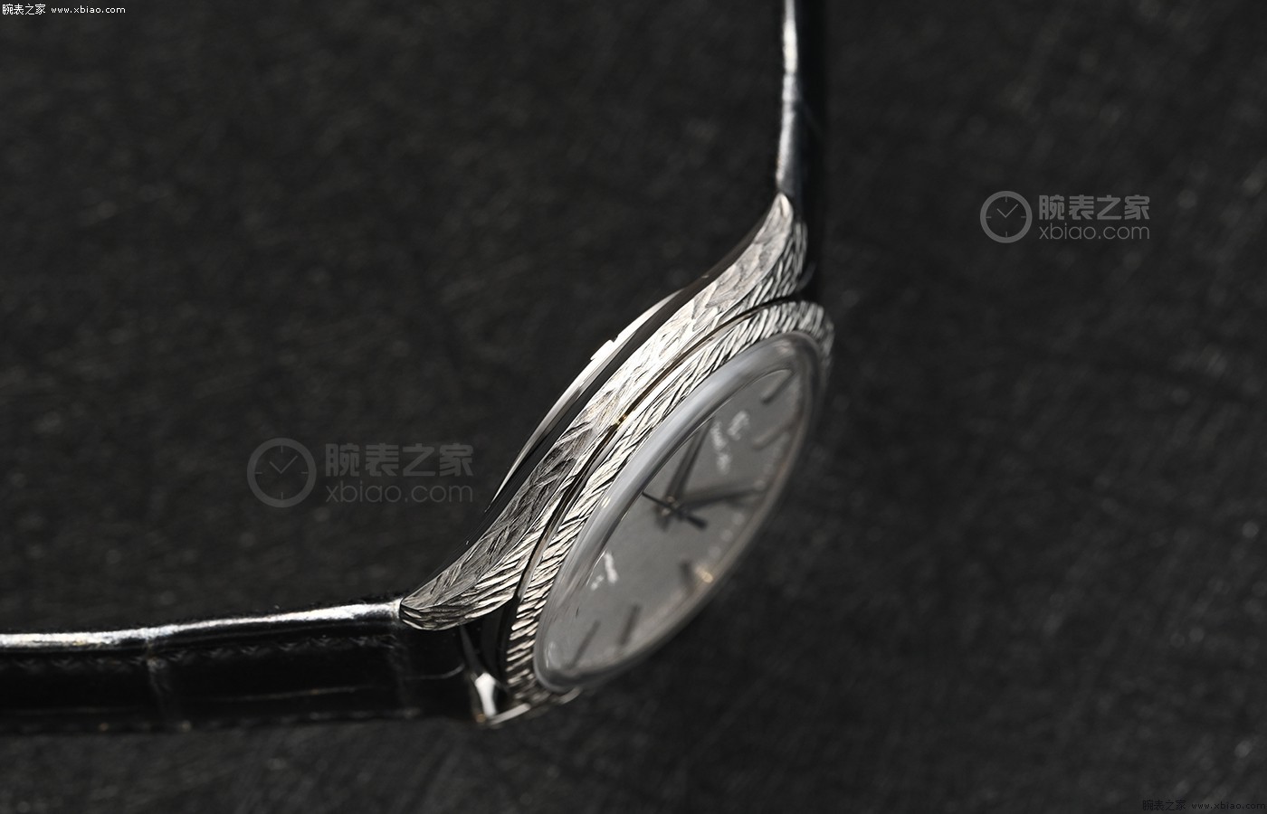 冠蓝狮新品