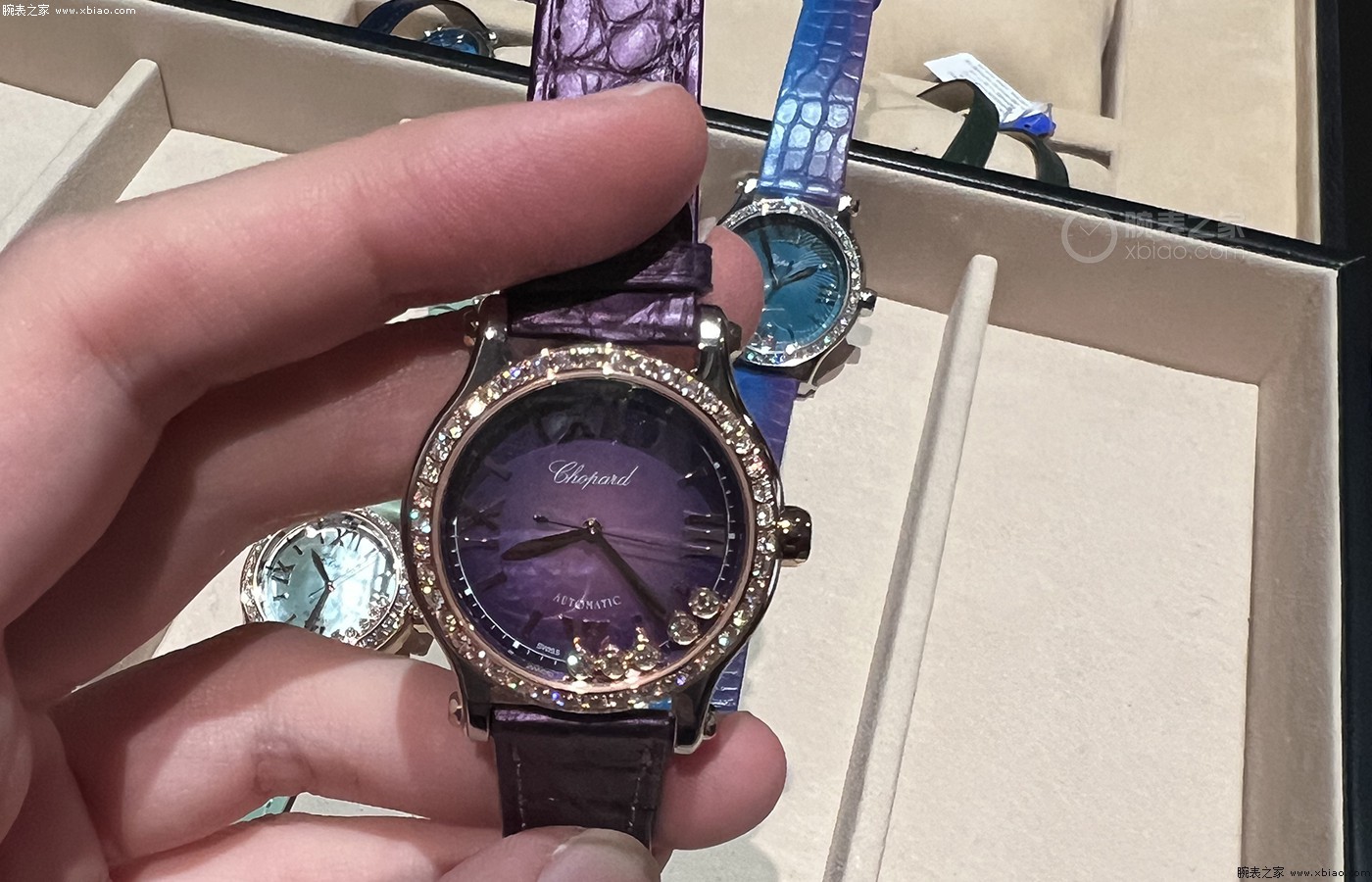 萧邦新品