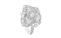伯爵PIAGET ROSE系列G34UU900(G34UU900G34UU900)戒指
