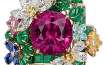 迪奥DIOR À VERSAILLES, CÔTÉ JARDINSJVER93124_0000(