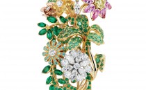 迪奥DIOR À VERSAILLES, CÔTÉ JARDINSJVER93073_0000(“PLAISIR CHAMPÊTRE”胸针JVER93073_0000)胸针