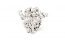 迪奥COUTURECYGNE 750/1000白金镶钻戒指(CYGNE7501000白金镶钻戒指CYGNE7501000白金镶钻戒指)戒指