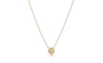 蒂芙尼TIFFANY 1837系列圈形吊坠(圈形吊坠圈形吊坠)项链