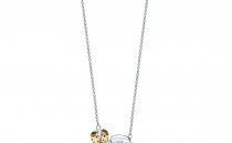蒂芙尼RETURN TO TIFFANY纯银和18K黄金瓢虫花朵项链(纯银和18K黄金瓢虫花朵项链纯银和18K黄金瓢虫花朵项链)项链