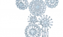蒂芙尼BLUE BOOK高级珠宝花束装饰钻石项链