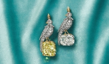 蒂芙尼史隆伯杰系列铂金及18K黄金镶嵌一颗重逾10克拉的钻石，粉色蓝宝石及钻石“石上鸟”胸针