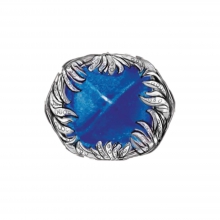 蒂芙尼BLUE BOOK高级珠宝2017 BLUE BOOK坦桑石及钻石戒指
