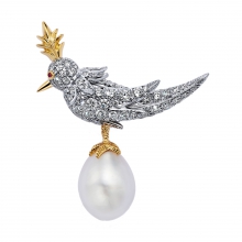 蒂芙尼SCHLUMBERGER®高级珠宝BIRD ON A PEARL胸针