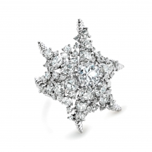 蒂芙尼BLUE BOOK高级珠宝2023 BLUE BOOK铂金镶嵌一颗重逾2克拉的钻石及钻石戒指