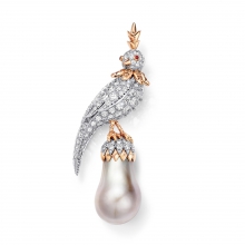 蒂芙尼史隆伯杰系列18K玫瑰金及铂金镶嵌浅灰色水滴形天然野生珍珠，香槟色钻石，钻石及红宝石胸针