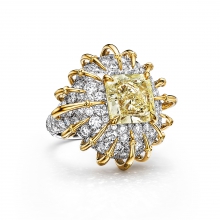 蒂芙尼BLUE BOOK高級珠寶鉑金及18K黃金鑲嵌一顆重逾6克拉的濃彩黃鉆及鉆石戒指